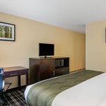 King Bed Room with Work Desk, Chair, and TV at Quality Inn & Suites Albany