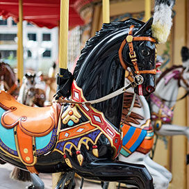 Albany Carousel