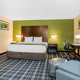 King-Jacuzzi-Suite King Jacuzzi Suite Bedroom at Quality Inn & Suites Albany