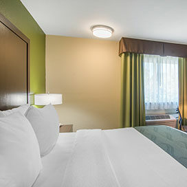King-Room King Bed with Window View at Quality Inn & Suites Albany