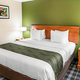 One Queen Bed Room