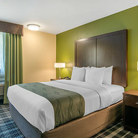 Queen-Room Queen Bed at Quality Inn & Suites Albany